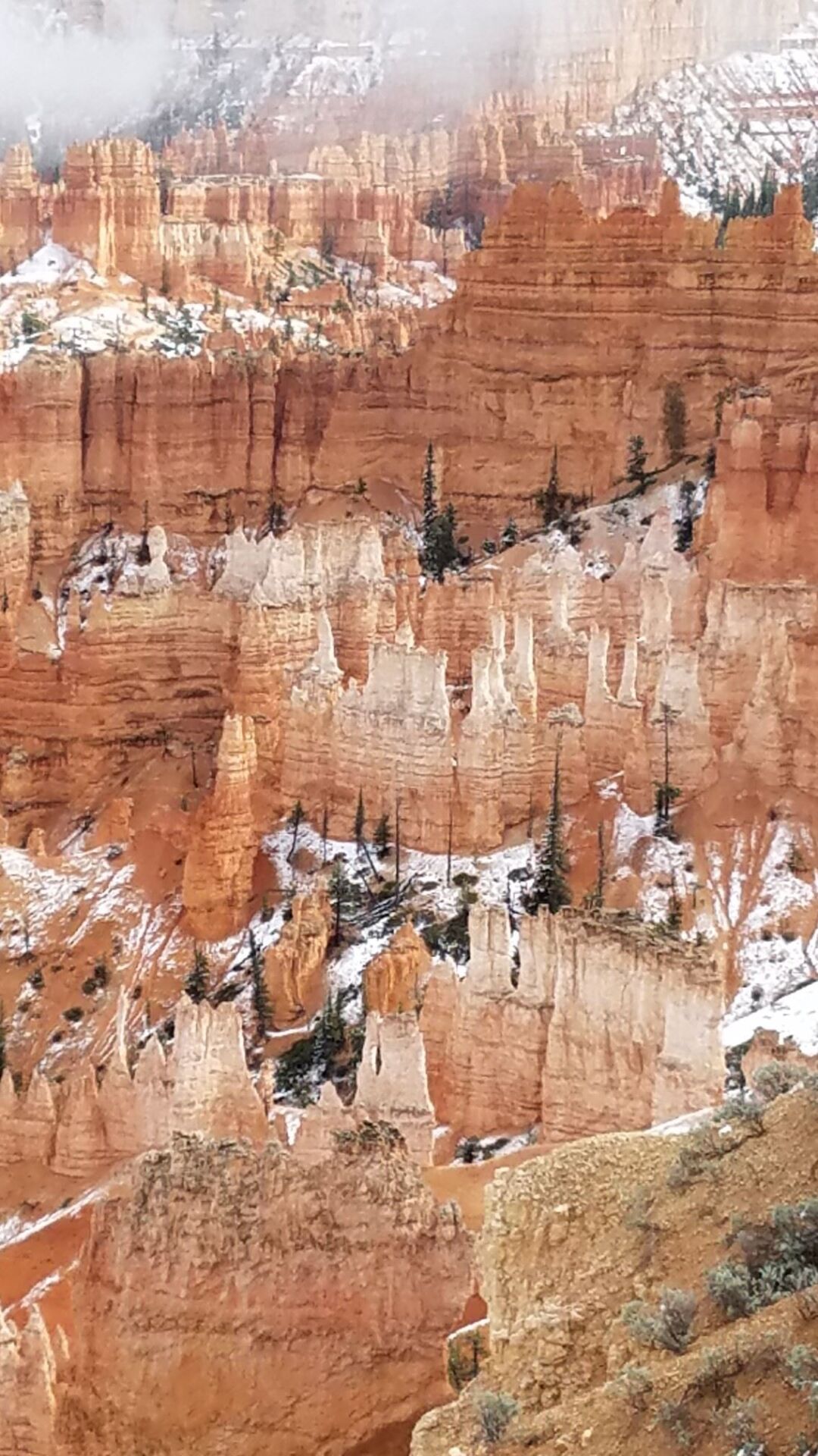 Bryce canyon